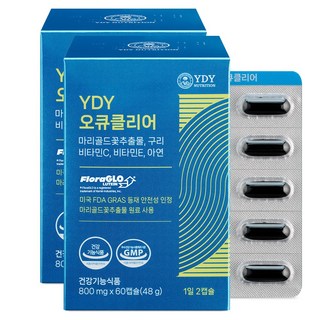 YDY 오큐클리어 루테인 고약사 약들약, 2개, 60정