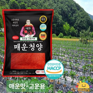 25년산 청양 고운 고추가루 500g 매운 햇고춧가루, 1개