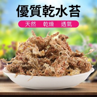 苔鑽 智利水苔-1公升裝/水草/蘭花介質/苔球/多肉植物/角蛙/蘭科植物/觀葉植物/爬蟲/鹿角蕨上板/園藝資材, 智利乾水苔,1公升（9號夾鏈袋裝）, 1個