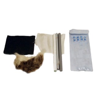 초등 방학 과학탐구 보고서용 정전기실험 도구세트 중학교 창의적활동 두뇌개발