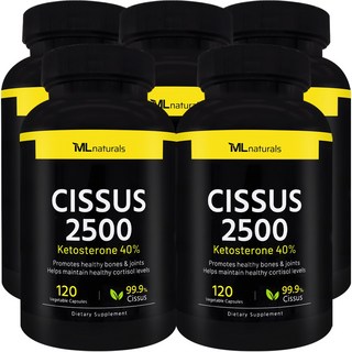 마이라이프 내추럴스 시서스 2500, 5개, 120정