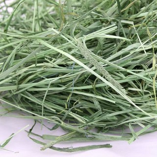 寵物提摩西牧草 - 高纖低塵，促進消化，兔子、天竺鼠適用, 1kg, 1個