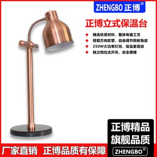 뷔페 양방향 가열 매장용 램프 실버 온열램프 케이터링, DZ-1T 큐빅