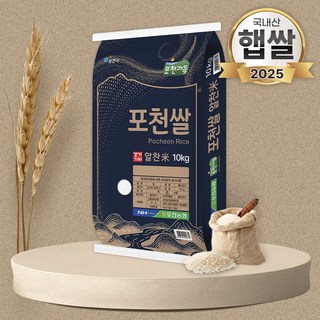 햅쌀 농협 2025년 백미 포천쌀 우리쌀, 특등급, 1개, 10kg