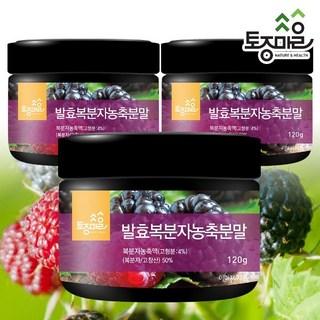 토종마을 발효복분자농축분말 국산 고창산, 120g, 3개
