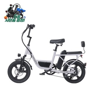 레이윙 캐리 라이트 48V 500W 전기자전거 출퇴근용, 에어리 라일락, 스틸