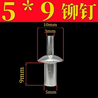 擊芯鉚釘20只組，新型敲擊式扁圓頭全鋁不銹鋼鉚釘，M5*9mm規格，敲擊式鋁鉚釘，開花膨脹釘，新型M5圓頭設計, 1個