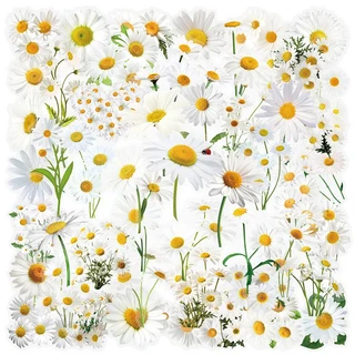 키즈경량패딩 키즈구스다운 키즈잠바 유아패딩점퍼50/150PCS 수국 데이지 해바라기 꽃 스티커 편지지 데칼