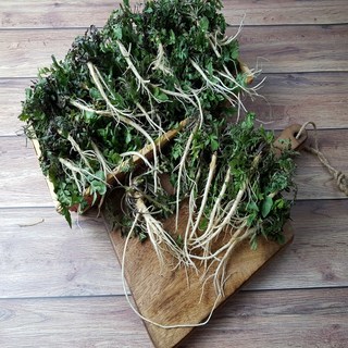 [산지농가직송]충남홍성 노지 냉이 세척손질냉이, 1kg, 1개