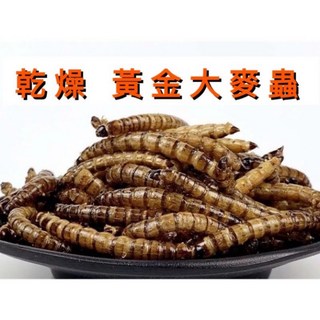 黃金大麥蟲乾 乾燥大麥蟲 麥皮蟲 乾燥麵包蟲 適用 守宮 烏龜 水龜 澤龜 蜜袋鼯 倉鼠 龍魚 羅漢, 1個, 蠅蛆（黑水虻）50克