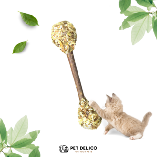 캣완트 유기농 캣닢 스틱 마따따비 데탈봉 고양이 장난감, 1개, 300g, 마따따비 덴탈봉