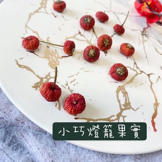 乾燥花批發燈籠果聖誕花圈材料組，進口果實松果橡果搭配，DIY玻璃花盅裝飾素材, 1個, 橘紅色