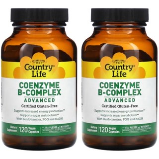 컨트리라이프 코엔자임 비타민B군 엽산 판토텐산 비타민 B12 B6 B1 120캡슐 2개, 120정