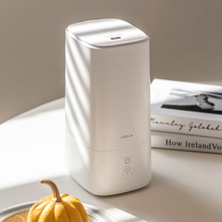 르엘라 저소음 초음파 미니가습기, 화이트