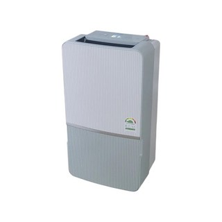 위닉스 인버터 뽀송 제습기 21L DXWE210-NGK