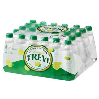 레몬 TREVI 탄산수 무라벨 음료, 60개, 300ml