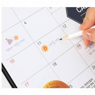 EA 2026년 데스크캘린더 k8 중형 탁상달력 연간스케쥴 모닝글로리, 1개, 기본