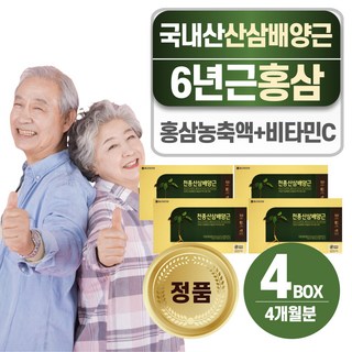 헬시위듀 천종산 산삼 배양근 홍삼 농축액, 4개, 600ml