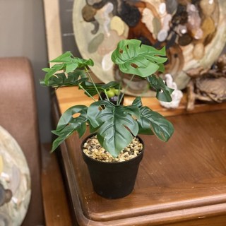 GXS拍照道具 龜背葉仿真植物假盆栽，室內裝飾綠植，免澆水仿真龜背芋盆栽, 9葉龜背葉（小葉）-高約28cm, 1個