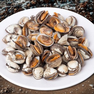 산지직송 벌교 꼬막 제철 새꼬막 특품, 1개, 3kg(대)