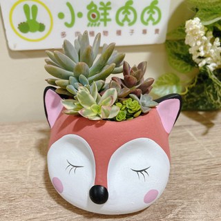 小鮮肉肉 森林動物系列多肉植物陶盆(有開孔) 動物盆栽 陶瓷花器 可愛動物 陶盆 多肉 盆器 園藝佈置 花盆, 1個, 狐狸(不含植物)