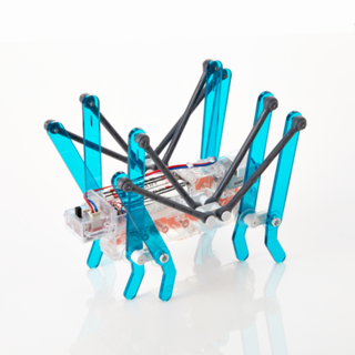 로키(귀뚜라미 로봇), 1개