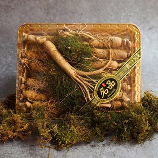 [미식한가] 세척 풍기인삼 6년근 수삼 (콩난) 500g 선물세트, 1개