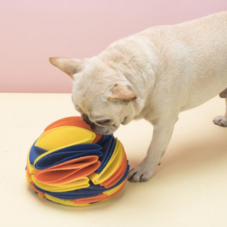 강아지 간식 퍼즐 장난감 노즈워크 두뇌 발달 스트레스 완화용, 1개, 블루+옐로우+오렌지