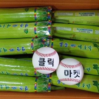 클릭마켓 애호박 국내산, 1박스, 250g