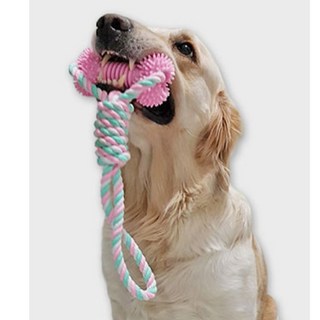 강아지 터그놀이 덴탈 로프본 토이 핑크 1P 치석관리, 1개, 없음