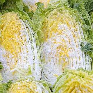 강원도 청정지역 인제 절임배추, 도착일 배송메모에 입력, 1박스, 20kg