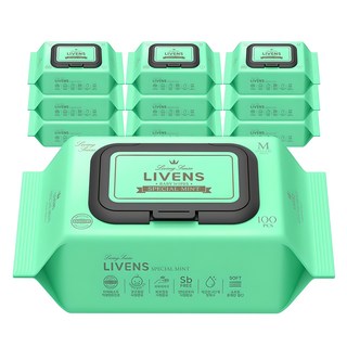 리벤스 스페셜 민트 유아물티슈 캡형, 40g, 100매, 10세트