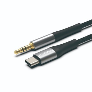 POLYWELL 音源轉接線 iPhone 15 14 13 Type-C 轉 3.5mm 適用, 1個, Type-C轉3.5mm（1米）