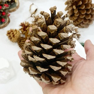 松果聖誕裝飾乾燥花聖誕花圈聖誕樹聖誕節慶裝飾，手工製作，營造溫馨節慶氛圍, 大松果12-14公分（1個入）, 1個