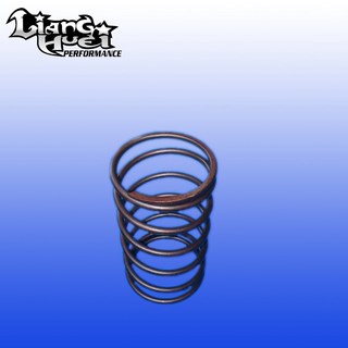 【良輝動力】勁戰大彈簧1-5 代 / 宏佳騰 STR300, 1個, AEON STR 300