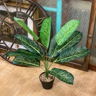 GXS拍照道具 龜背葉仿真植物假盆栽，室內裝飾綠植，免澆水仿真龜背芋盆栽, 12葉斑紋旅人蕉-高約65cm, 1個