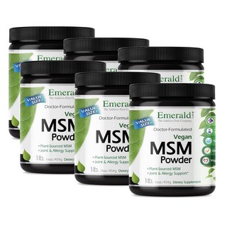 에메랄드랩 엠에스엠 파우더 4000mg 비건 Emerald Labs MSM Powder, 6개, 454g