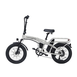 레이윙 러쉬 전기자전거 48V 500W 대용량배터리, 실버 미스트, 알루미늄