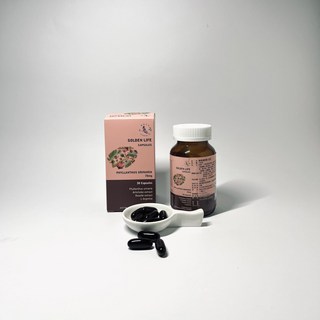 煥美立元 真珠草肝精B群顧康寶膠囊 (提神/增強體力/促進代謝), 1套, 30顆