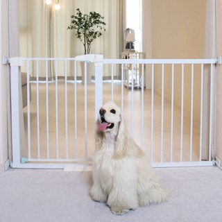 펫초이스 프리미엄 반려견 강아지 안전문, 화이트, 1개