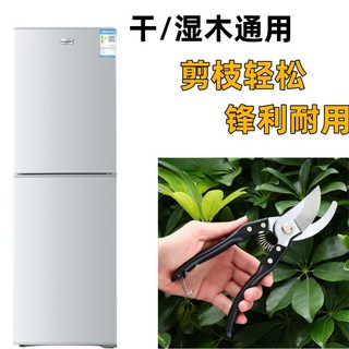 德國鋼剪樹剪子：果樹/花木/葡萄修枝剪刀，園藝園林必備, 1個, 出口超鋒利【49倍省力效率99+】黑色剪