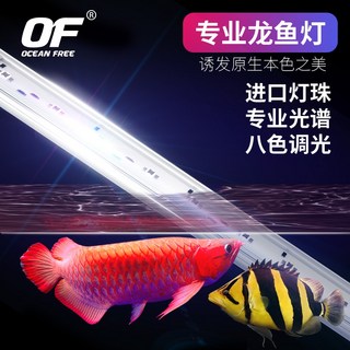 仟湖OF 神奇美光燈 紅龍 金龍水中燈 (實體店面，現貨) - WL105太陽黃燈 WL110增艷紅龍 5尺, 1個