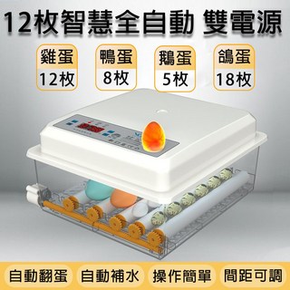 全自動孵蛋機【自動控溫 翻蛋 補水】小白易操作 家用智能調溫孵蛋器 雞鴨鵝鳥類通用 智慧控溫箱, 12枚【全自動孵化+附補水器】可接電瓶用