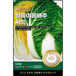 베스트 일등여름 배추 씨앗 500립 무사마귀병 강한 수량성 좋은 배추씨 종자, 1개