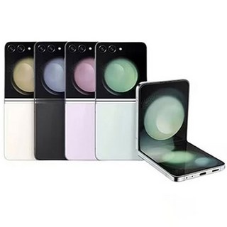 삼성 갤럭시 Z플립5 256GB 공기계 리퍼급-뉴퍼마켓, 그라파이트