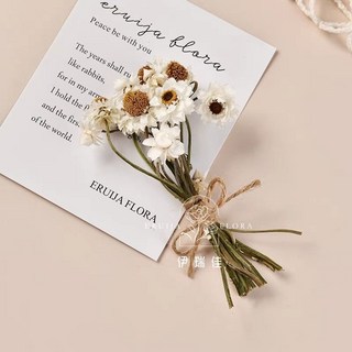 幹花墻麵裝飾墻上掛件背景墻墻飾貼墻高級感真花鬆果樹枝植物標本, F-22