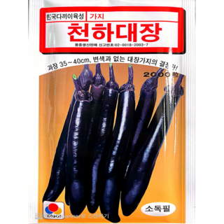 천하대장가지씨앗 2천립 다끼이코리아