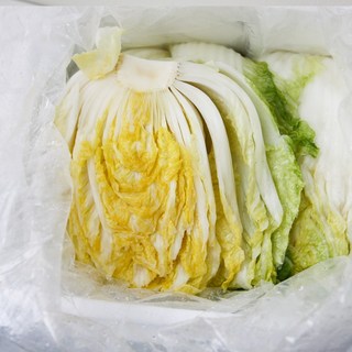 [주영마켓] 영월 아삭 김장 절임배추, 20kg, 1박스, 1월 3일 토 출고