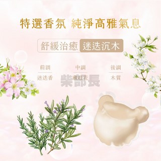 清淨海 純淨泰迪 植萃酵素洗衣膠囊 5g 30顆 - 洗衣精/洗衣凝珠, 1個, 迷迭沉木 5gx30顆