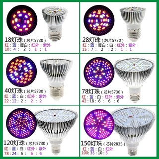 E27 植物燈 LED植物燈 夾燈 適用於多肉植物 捕蟲堇 食蟲植物 - 台灣, 1個, 18顆LED